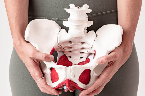 Pelvic health physiotherapy at Bodiworks St. Albert